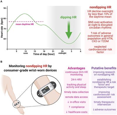 Monitoring Non-dipping Heart Rate by Consumer-Grade Wrist-Worn Devices: An Avenue for Cardiovascular Risk Assessment in Hypertension